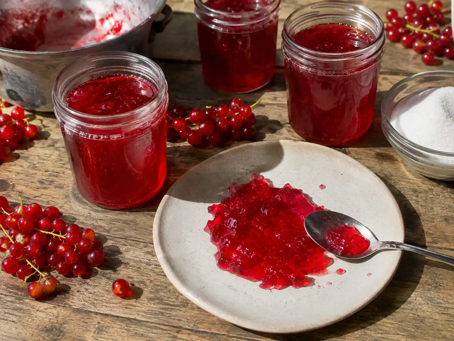 röda vinbär gele recept i små glasburkar med klar rubinröd gelé och några bär bredvid