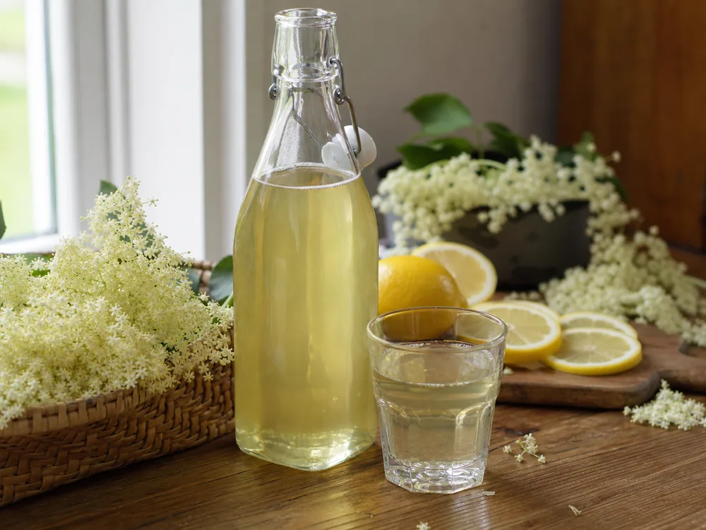 Flädersaft recept med ljus saft i glasflaska, citroner och vita fläderblommor på bord